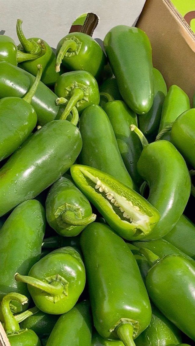 Spice up your life with fresh, in-season jalapeños! 🌶️🔥 

Available to order now from #ProduceToPlate, your go-to fruit and vegetable supplier in the Sutherland Shire. 

Whether you’re a cafe, restaurant, or just looking to add some heat to your home-cooked meals, we’ve got you covered! 🍴

• 
#ProducetoPlate #FreshProduce #FarmtoTable #LocallySourced #SustainableFarming #SutherlandShire #SydneyFoodie #SeasonalProduce #HealthyFood #SupportLocalFarmers #EatLocal #ShopLocal #AustralianProduce #FruitandVeg #Plums #LateSeason #SweetandSavory #Yum #Delicious #FoodPorn #FoodPhotography #Foodstagram #Foodie #HealthyLifestyle #Nutritious #Tasty #FoodLove #EatWell