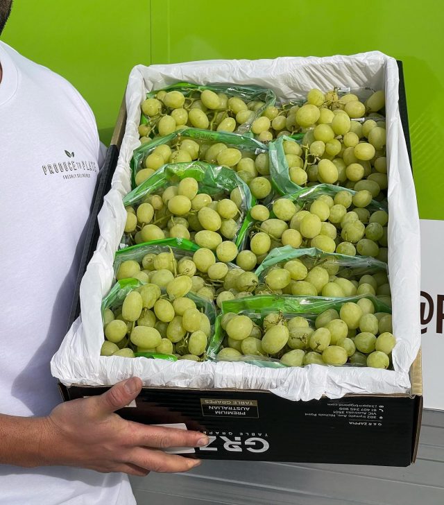 Crunchy, Juicy, and Oh-So-Green | GREEN GRAPES NOW AVAILABLE & READY TO ORDER 💚

#ProduceToPlate 

•
#FarmToTable #HomeDelivery
#OrganicFood #HealthyEating #FreshFood #FoodDelivery #LocalProduce #HealthyLiving #SustainableFood #HealthyHome
#HealthyOptions #FreshAndHealthy #Foodie #FoodLovers