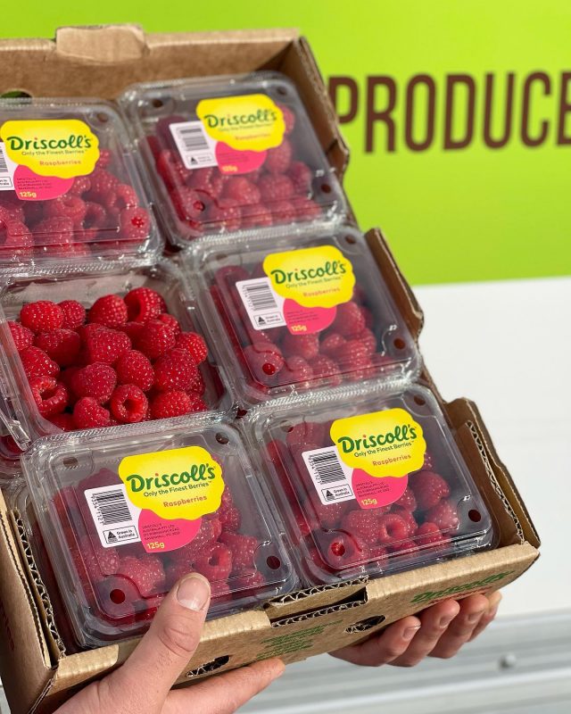 Indulge in the lusciousness of fresh and in-season raspberries! 🍓 

Place your order today and we'll deliver the freshest fruits and vegetables straight to your door 🚪 

•
#FreshRaspberries #InSeasonDelights #FarmToTable #SutherlandShireFood #LocalProduce #HomeDeliveries #RestaurantSupplies #FoodieFavorites #Berrylicious #SweetandTangy #NaturesBounty #HealthyChoices #DeliciousDesserts #TasteofSummer #FruitLovers #NourishYourself #SupportLocal #FoodieCommunity #EatWellLiveWell #FarmFresh #SustainableEating #HealthyLiving #TasteTheSeason #FoodLovers #FreshFruit #SutherlandShireEats #FarmersMarketFinds
